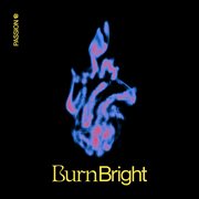 Burn bright cover image