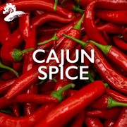 Cajun spice : dance music from South Louisiana cover image