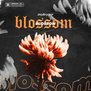 Blossom cover image