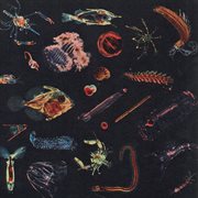 Plancton cover image