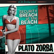 Security breach at the beach cover image