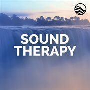 Sound therapy : healing cover image