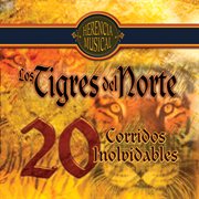 Herencia musical 20 corridos inolvidables cover image