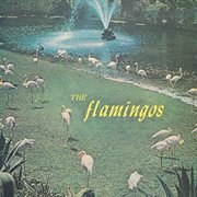 The flamingos cover image