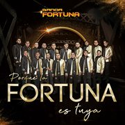 Porque la fortuna es tuya cover image