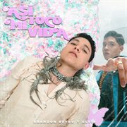 Así tocó mi vida cover image