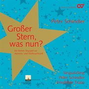 Peter schindler: großer stern, was nun? cover image