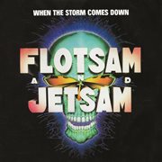 When the storm comes down cover image
