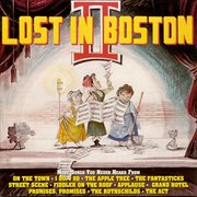 Lost in boston, vol. 2 cover image