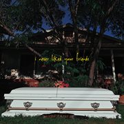 I never liked your friends cover image