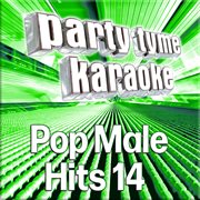 Party tyme - pop male hits 14 [karaoke versions] : Pop Male Hits 14 [Karaoke Versions] cover image