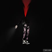 Beautiful downfall, serene cover image