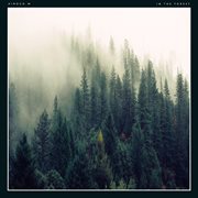 In the Forest cover image
