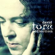 The David Torn collection cover image