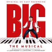 Big: the musical [original uk cast recording] : The Musical [Original UK Cast Recording] cover image