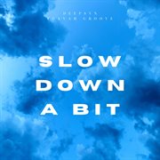 Slow down a bit cover image