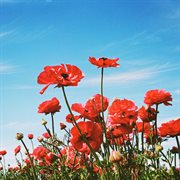 I loved you, what happened? cover image