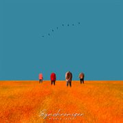 Synchronizer cover image