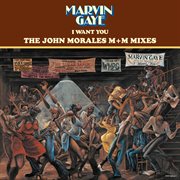 I want you: the john morales m+m mixes cover image