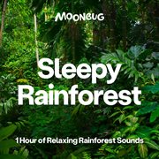 Sleepy Rainforest [1 Hour of Relaxing Rainforest Sounds] : 1 hour of relaxing rainforest sounds cover image