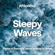 Sleepy Waves [1 Hour of Peaceful Wave Sounds to Sleep] cover image