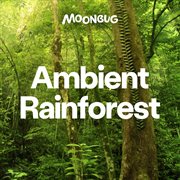 Ambient rainforest cover image