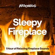 Sleepy Fireplace [1 Hour of Relaxing Fireplace Sounds] cover image