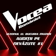 Vocea României : Audiții pe nevăzute #1 (Sezonul 11. Bucuria Muzicii) [Live] cover image
