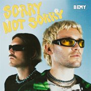 Sorry not Sorry cover image