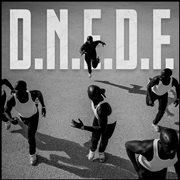 D.N.E.D.F cover image