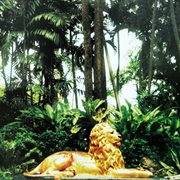 Born To Be Free cover image