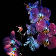 Drift [sleep rework] cover image