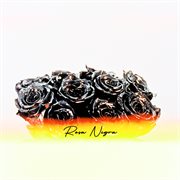 Rosa Negra cover image