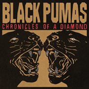 Chronicles of a Diamond cover image