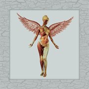In Utero [30th Anniversary Super Deluxe] cover image