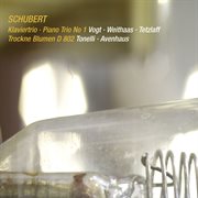 Schubert : Piano Trio No. 1 in B. Flat Major, D. 898; Introduction and Variations, D. 802 [Live] cover image