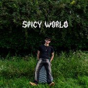 SPICY WORLD cover image