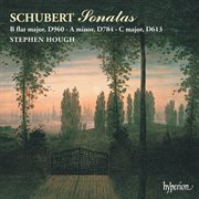 Schubert : Piano Sonata in B. Flat Major, D. 960; in A Minor, D. 784; in C Major, D. 613 cover image