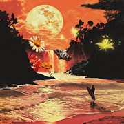 Floral Surfboard cover image