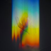 Sanctify [Live] cover image