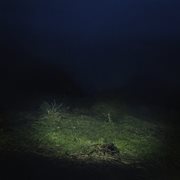 Po2054az [Vol.II] cover image