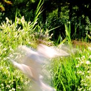 Be My Forever cover image