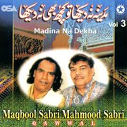 Madina Na Dekha, Vol. 3 cover image