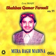 Mera Bagh Madina, Vol. 11 cover image