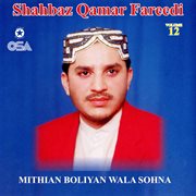 Mithian Boliyan Wala Sohna, Vol. 12 cover image