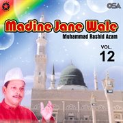 Madine Jane Wale, Vol. 12 cover image