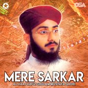 Mere Sarkar cover image