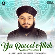 Ya Rasool Allah Hum Tere Hain cover image