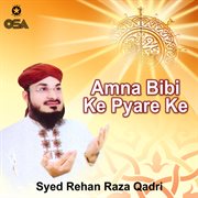 Amna Bibi Ke Pyare Ke cover image