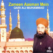 Zameen Aasman Mein cover image